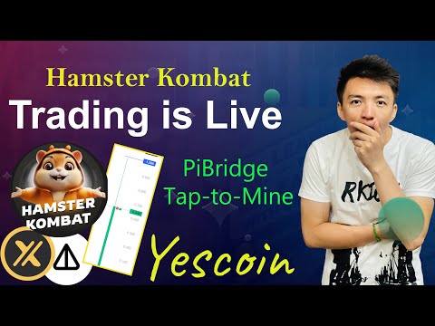 Hamster Kombat Trading is Live | PiBridge Tap-To-Mine Launching Soon | Yescoin Update Today