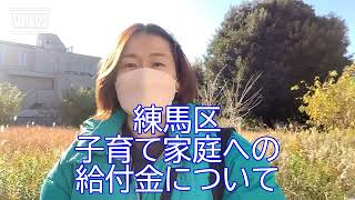 練馬区補正予算：低所得子育て家庭への臨時給付金（10万円）【練馬区議会議員・高口ようこ】