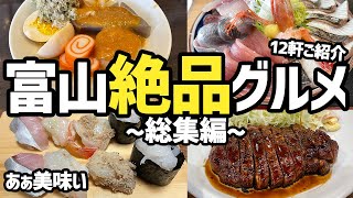 【富山グルメ総集編】あぁ最高過ぎるオススメ10店舗以上をご紹介！美味しいものが多すぎる！【絶品グルメ、お寿司、トンカツ、海鮮丼、ラーメン、カレー、おすすめ旅行先】