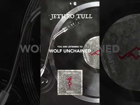 Jethro Tull – Wolf Unchained #shorts #rokflote #jethrotull