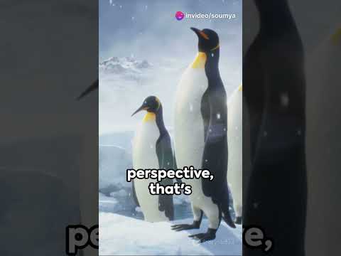 Penguins: Emperor penguins are capable of diving to depths of over 500 meters  #shorts