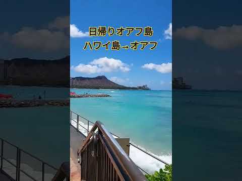 日帰りオアフ島ツアーしてきました❗ハワイ島からオアフ島！ここが私お薦めのザ❗ワイキキの眺めスポット #waikiki  #hawaii #shorts