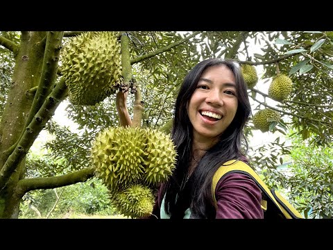 The Most Exotic Fruits in the World