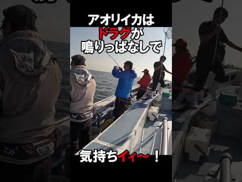 三浦から東京湾へティップランエギング！#4