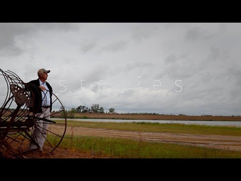 Mules, The First Tractor and a Pet Donkey Named Jack