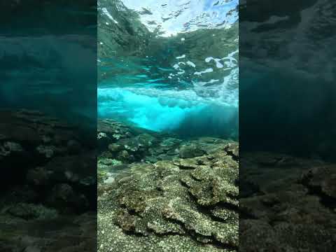 【水中スローモーション映像】沖縄県 渡嘉敷島 #highspeedvideo #slowmotion #underwater #coralreef