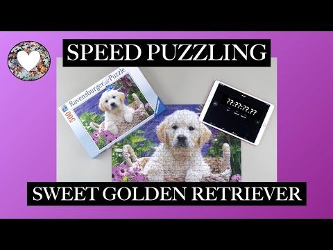 Speed Puzzling: Sweet Golden Retriever from Ravensburger