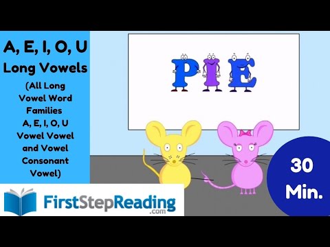 A E I O U / ALL Long Vowel Words/Vowel Vowel / Vowel Consonant Vowel/ Kindergarten/ Phonics/ ESL