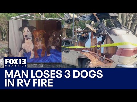 Lake Stevens man loses 3 dogs in RV fire | FOX 13 Seattle