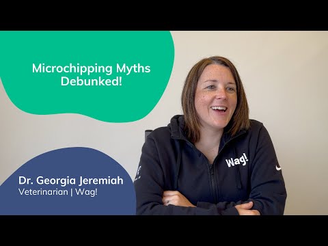 Microchipping Myths DEBUNKED! | Lost Pet Prevention with Dr. Georgia