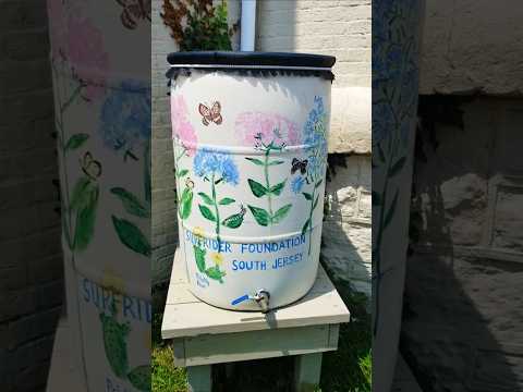 Beautiful Rain Barrels