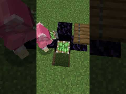 How to make a fun seesaw　【Minecraft】