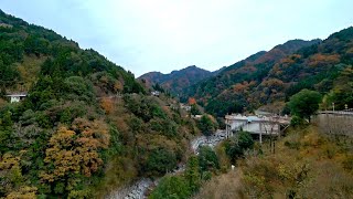 日本四國德島 - 來到祖谷葛藤橋 Come to Iya Kazura Bridge, Tokushima Shikoku (Japan)