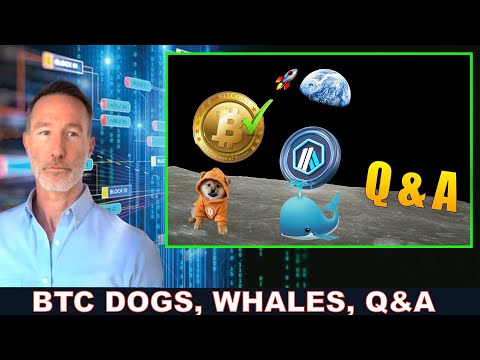 BITCOIN DOG, BLUWHALE A.I. NODES ON YOUR PHONE, Q&A