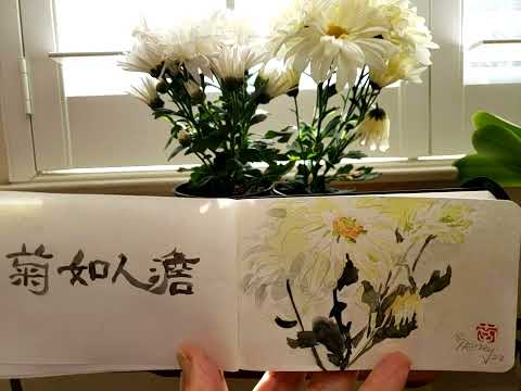 Chrysanthemums like people who don't care fame or gain 菊如人淡