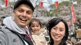 Tokyo's BEST Cherry Blossom Spot | Ueno Park at Full Bloom