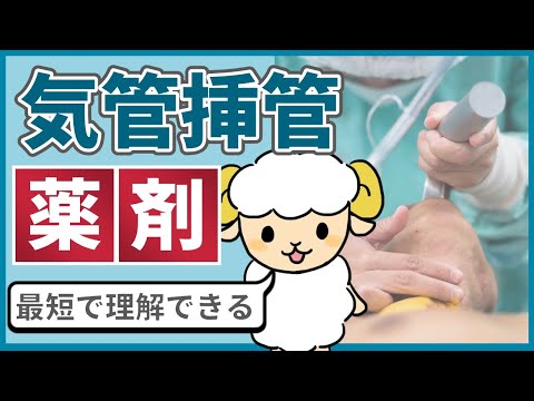 気管挿管で使う薬剤【結論：ミダゾラム、プロポフォール、フェンタニル、エスラックス】