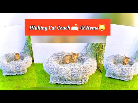 My cats 😺 are getting their own cozy Couch 🛋️ | DIY pets furniture 😍