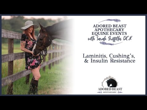 Laminitis, Cushing’s, and Insulin Resistance in Horses - Ask Sarah Anything Adored Beast Apothecary