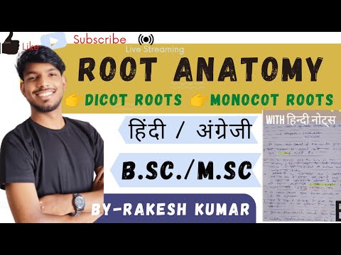 Anatomy of dicot and monocot root in hindi।root anatomy।internal structure of root(notes lectures)