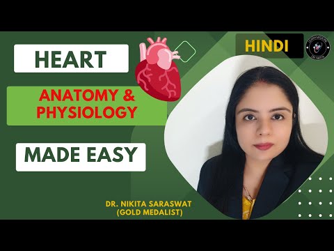 Double Circulation - Systemic & Pulmonary | Cardiac Conduction - SAN, AVN | Double Circulation