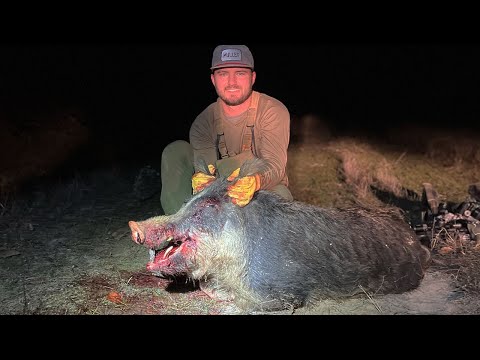 Do BIG NASTY BOAR HOGS Taste Good? {Catch Clean Cook}