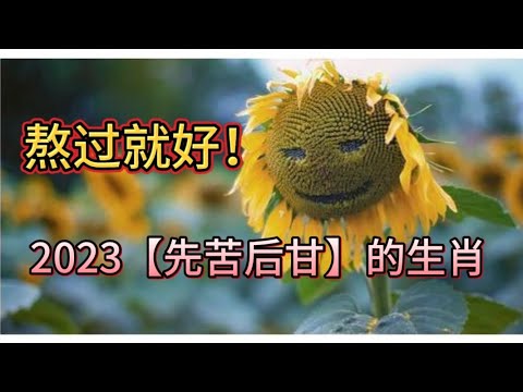 熬过就好！ 2023【先苦后甘】的生肖#生肖 #好運 #原創