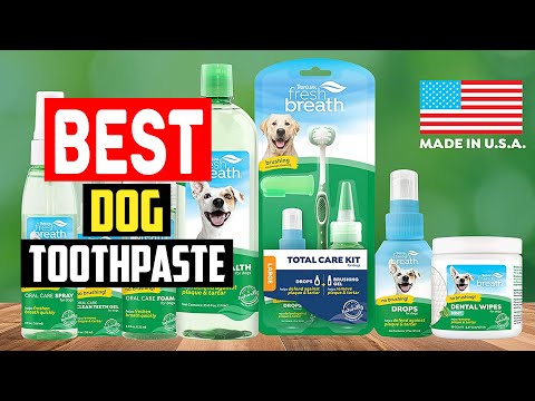 ✅Top 5 Best Dog Toothpastes of 2023