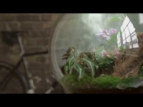 biOrbAIR - a relaxing automated terrarium