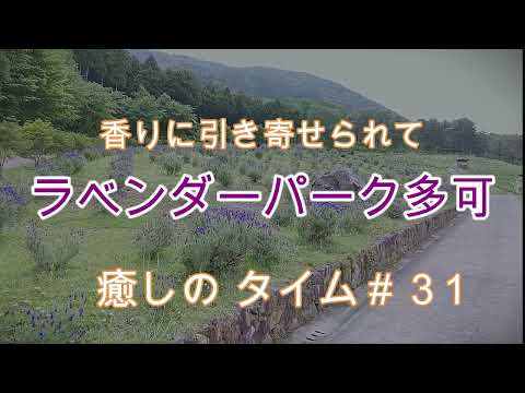 ラベンダーパーク多可　癒しのタイム#31