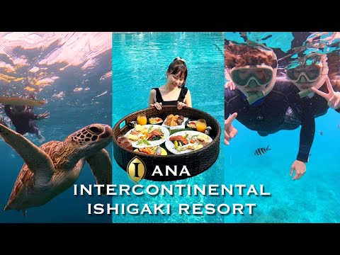 【石垣島VLOG🌴】ANAインターコンチネンタル石垣リゾートを夫婦で楽しむ🌺👫🏻｜プールの上で贅沢フローティングブレックファースト🥐｜ウミガメに会えるシュノーケル🐢【後編】