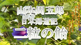 【山本周五郎 朗読】「二粒の飴」 日本婦道記より ☆彡 ミカ 朗読 【字幕付き】