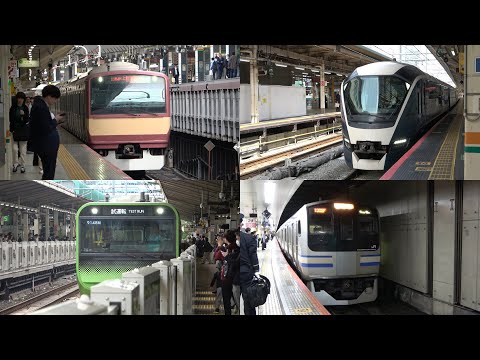 10/31/2024 Japan Railways: Trains at Tokyo Station