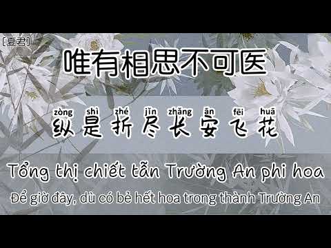 Duy hữu tương tư bất khả y - Ngũ Âm Trường An || 唯有相思不可医 [五音長安]