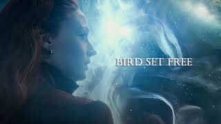 Jean Grey (Phoenix) | Bird set free