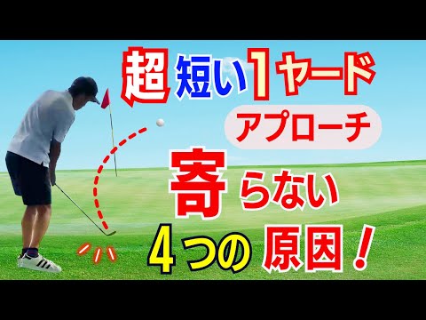 【50代60代は要注意】1ヤードの”超”短い距離のアプローチが苦手な4つ原因。修正法をティーチング歴30年のスギプロが解説