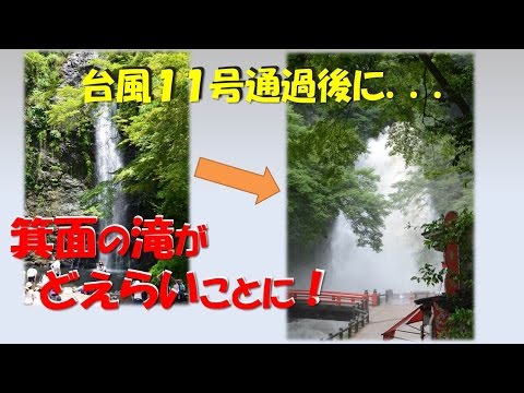 Waterfall of Minoh is supposed to be in trouble after Typhoon No 11 passes!