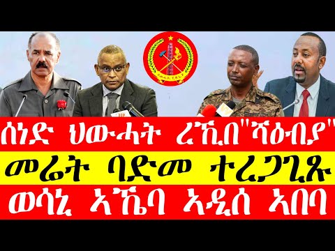 ሚስጥራዊ ሰነድ ህውሓት ረኺበ"ሻዕብያ"፣መሬት ባድመ ተረጋጊፅ፣ወሳኒ ኣኼባ ኣዳስ ኣበባ #tigray #eritrea #tigrinya