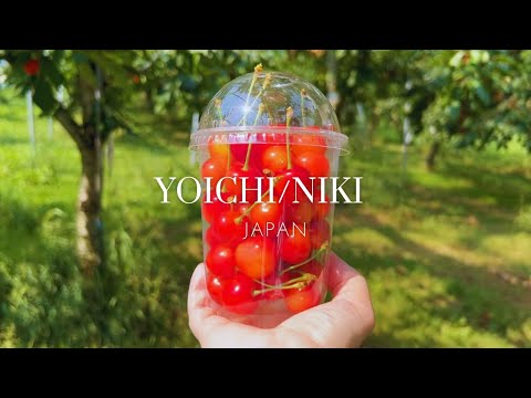 【札幌発日帰り観光】JRで行く仁木町と余市町で食べ歩き/NIKI and YOICHI day tour from Sapporo