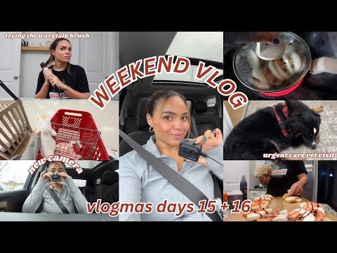 WEEKEND VLOG // Christmas party appetizer, new camera (Insta360 GO 3s) + urgent care vet visit