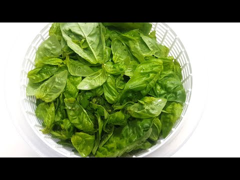 Subtitle) The most delicious way to eat basil | Basil Cooking Recipe