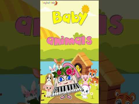 Baby Animals / cub, joey, chick, lamb, bunny, puppy, piglet, kitten / Phonics Mix! #shorts