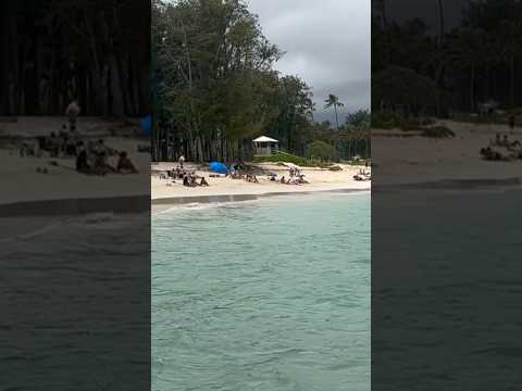 Kailua Beach Park is a beautiful spot on Oahu’s eastern (windward) shoreline!