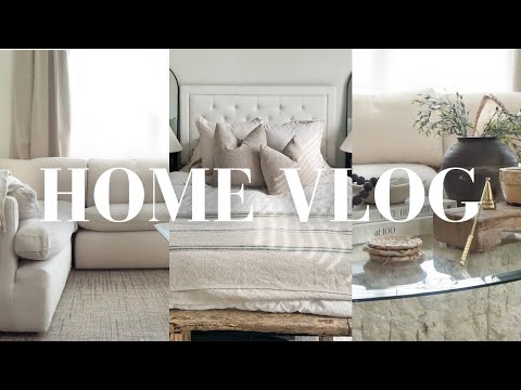 HOME VLOG | Max is getting surgery, cleaning my apartment, laundry, fridge restock, new decor & more