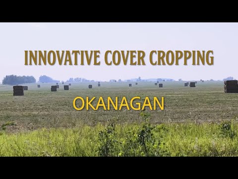 Innovative Cover Cropping in BC - South Okanagan