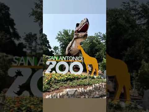 San Antonio Zoo, TX