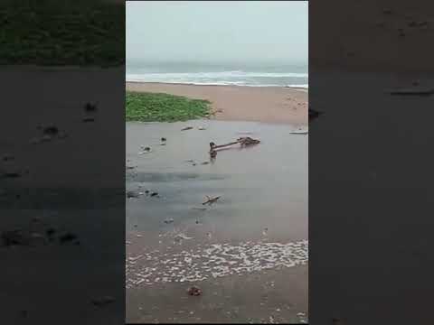 Beach🏖 video🎥#beach #beachvibes #shorts #trending #reels #heavyrain #rain