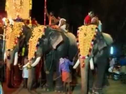 kerala Elephant