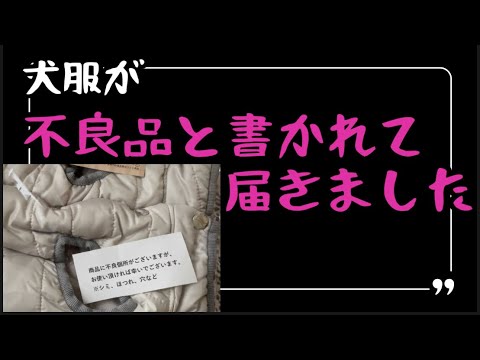 犬服を買ったら不良品ですが…と書かれて届きました。【トイプードル.ティーカッププードル】