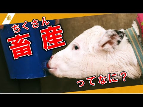 かながわのちくさんのヒミツ　～生産者さんからのメッセージ～